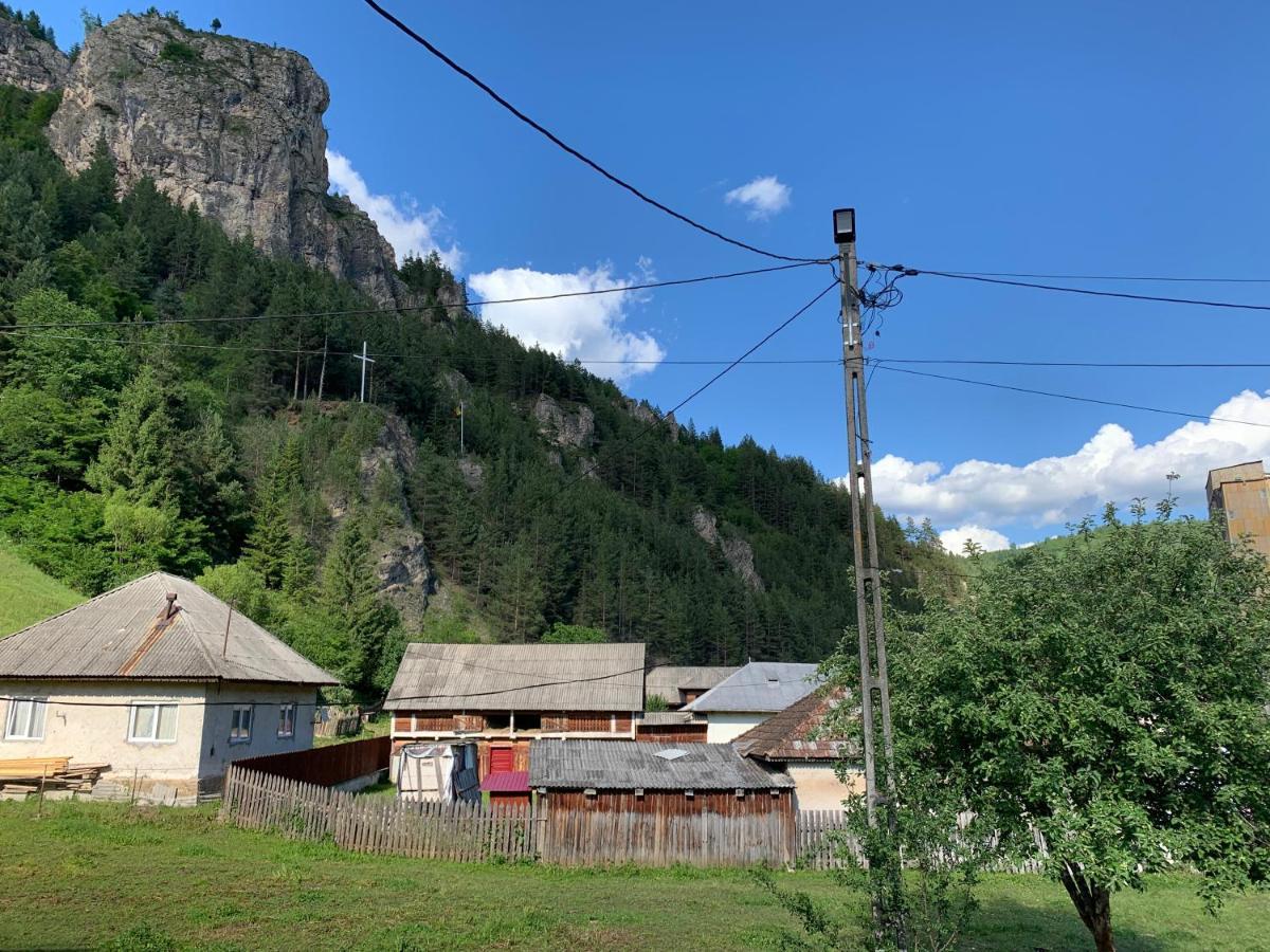 Acasa In Bicaz-Chei - Camere De Inchiriat Cheile Bicazului Exterior photo